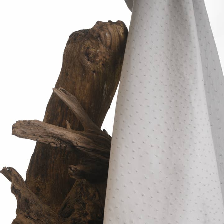 Snow White Ostrich Leather for wholesale by MAISON SOLER TANNERIE