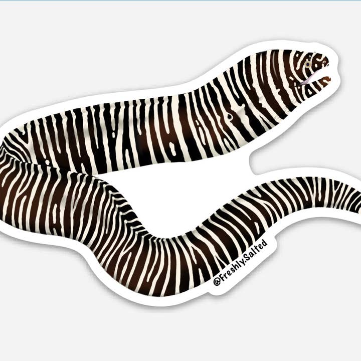 Zebra Moray ål klistermärke för wholesale av Freshly Salted LLC