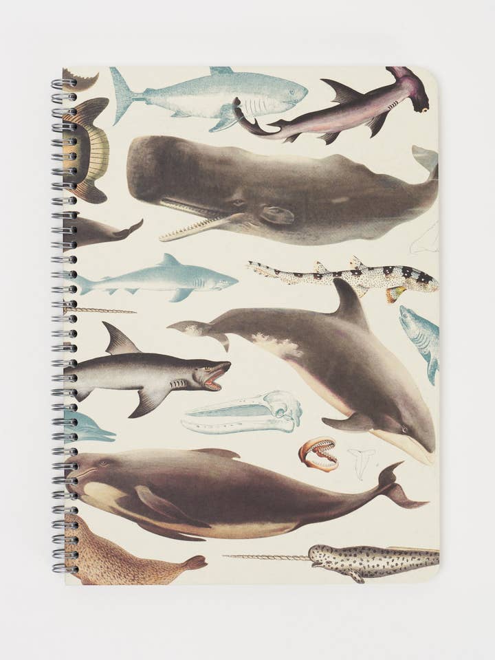 Whales, Sharks & Seals Spiral Notebook (Case of 6) for wholesale by Cognitive Surplus