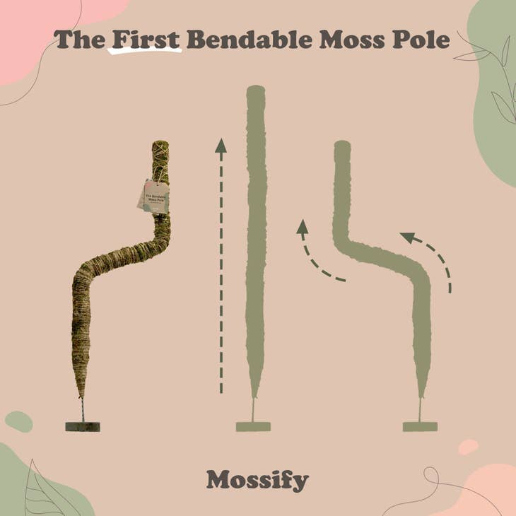 Mossify Greening Pins