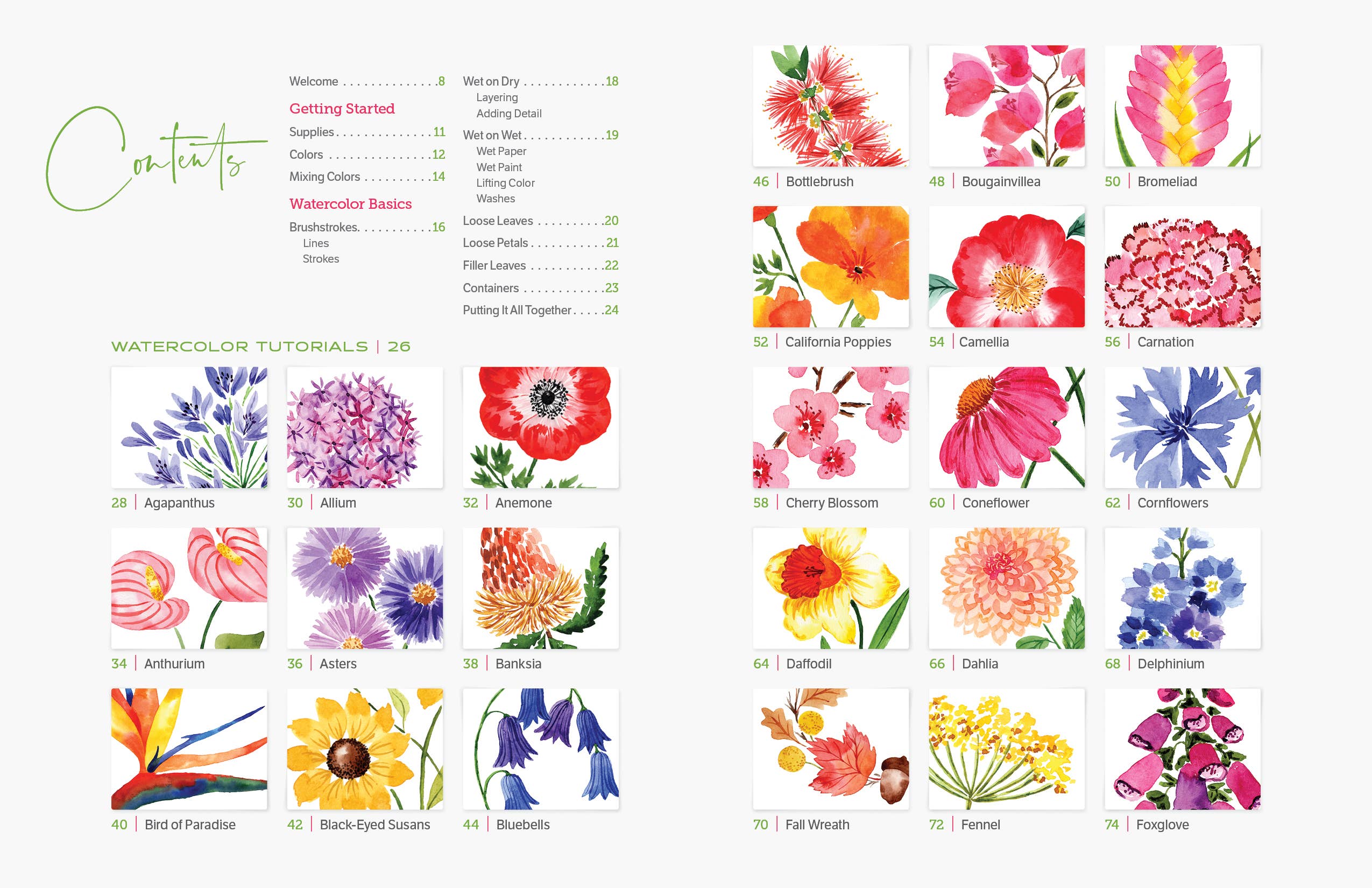 Schiffer Publishing - Wholesale Arts & Entertainment - Watercolor the Easy Way Flowers1