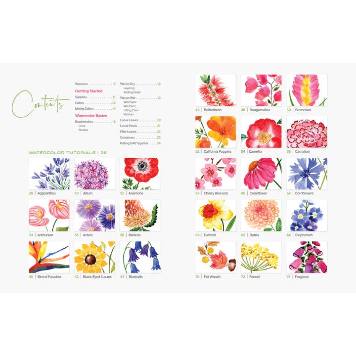 Schiffer Publishing - Wholesale Kunst en amusement - Aquarel op de gemakkelijke manier bloemen1