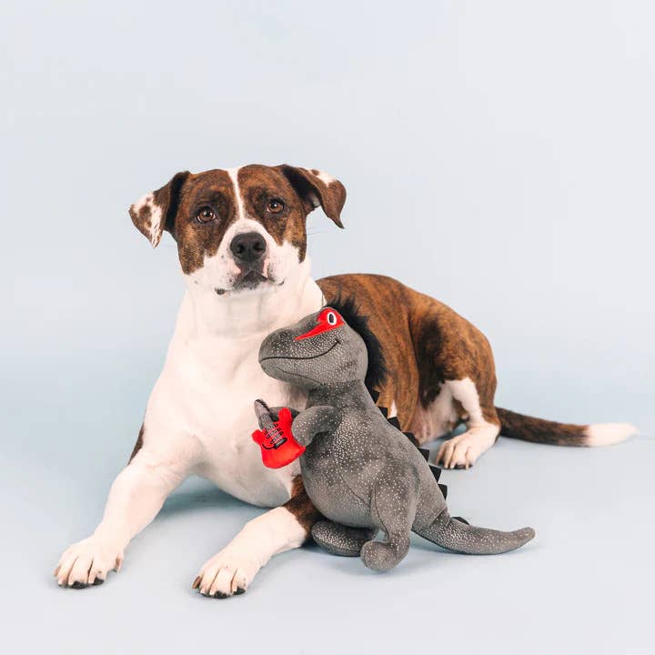 Pet Palette Distribution - Wholesale Pet Plush Toy - Dog - PetShop by Fringe Studio Rocker Rex Plush Dog Toy4