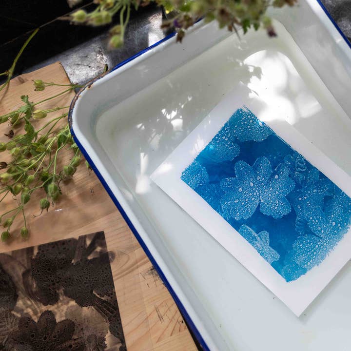 The Wild Darkroom – wholesale DIY craft kit – Cyanotype Printing Paper - A54
