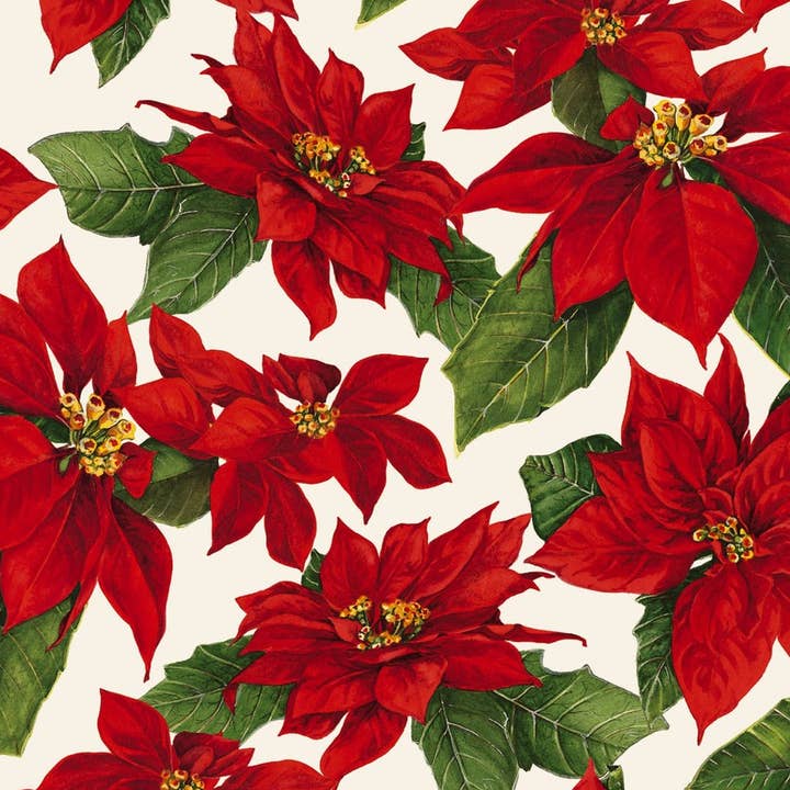 T0190 - Poinsettia - Feuille pour la vente par Nelson Line