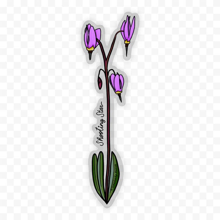 Shooting Star Wildflower Sticker 6" for wholesale by Creatively Leanne