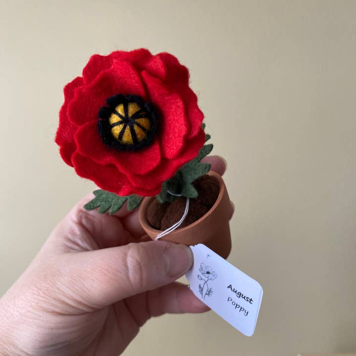 ForgetBKnot - Vente Fleurs artificielles - Fleur Éternelle en Feutre Coquelicot (Fleur de Naissance du Mois d'Août)