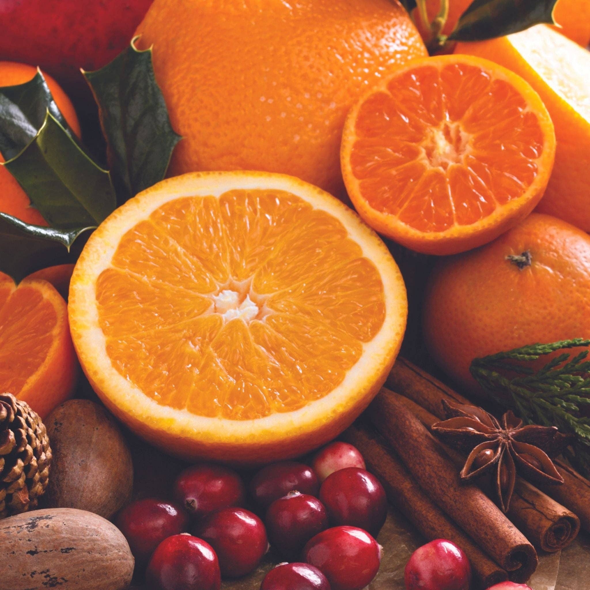 Cuccio - Wholesale Cuticle Oil - Boxed Revitalizing Cuticle Oil13