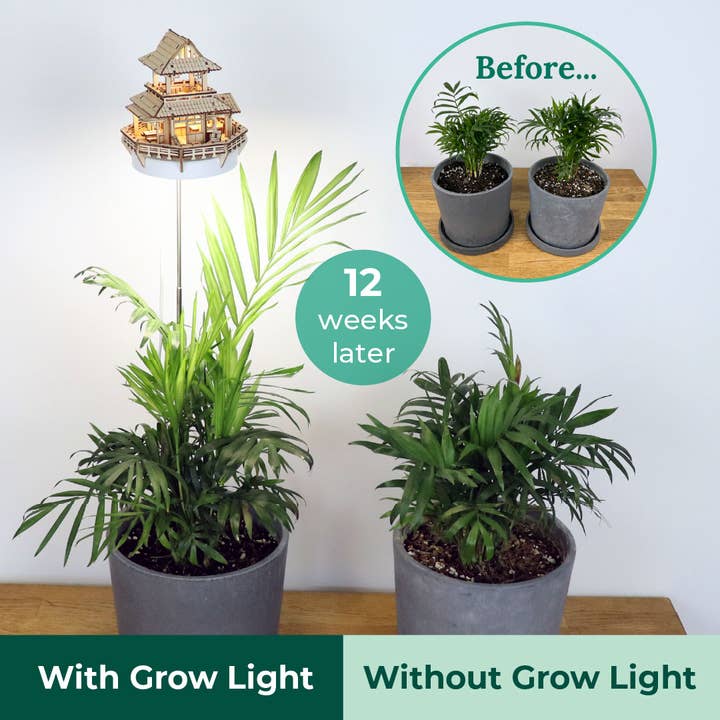 Tiny Treehouses Australia - Wholesale DIY Craft Kit - Sunrise Terrace + Grow Light11