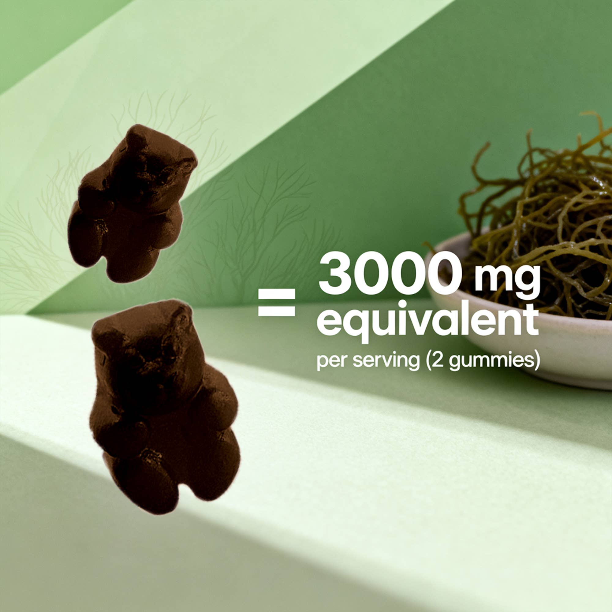 Vitamatic - Wholesale Oral Supplement/Vitamin - Vitamatic Irish Sea Moss Gummies 3000 mg2