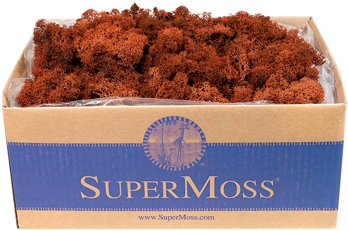 SuperMoss - Wholesale Dried/Pressed Flowers - Reindeer Moss Preserved 3lb Bulk Box10