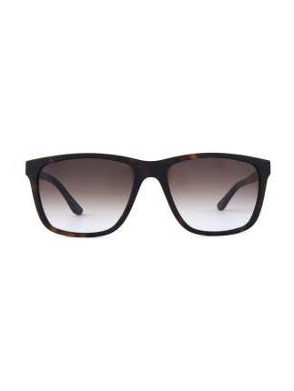 Sunglasses Focus for wholesale by WOODFELLAS