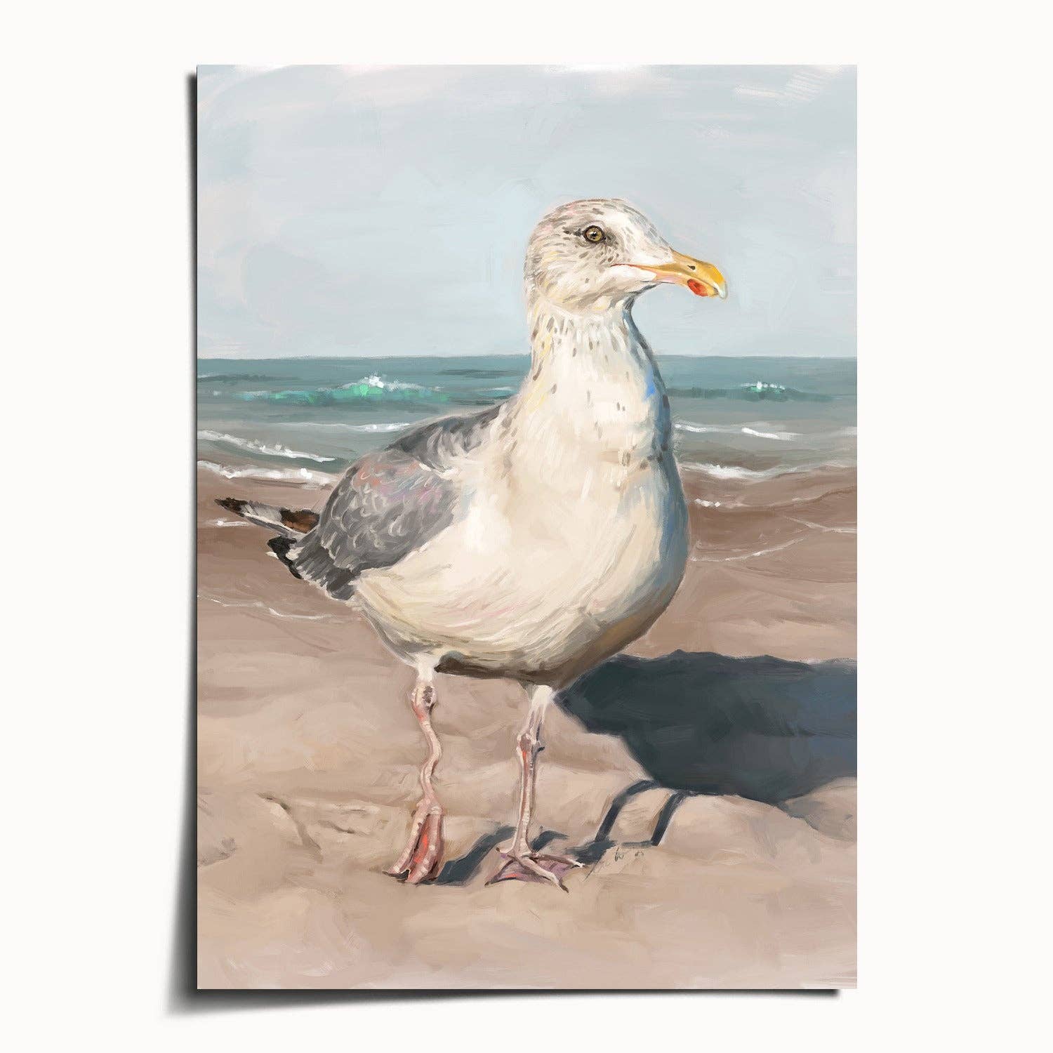The Ugly Cat Studio - Wholesale Art Print - Seagull with Wobbly Leg Fine Art Print0