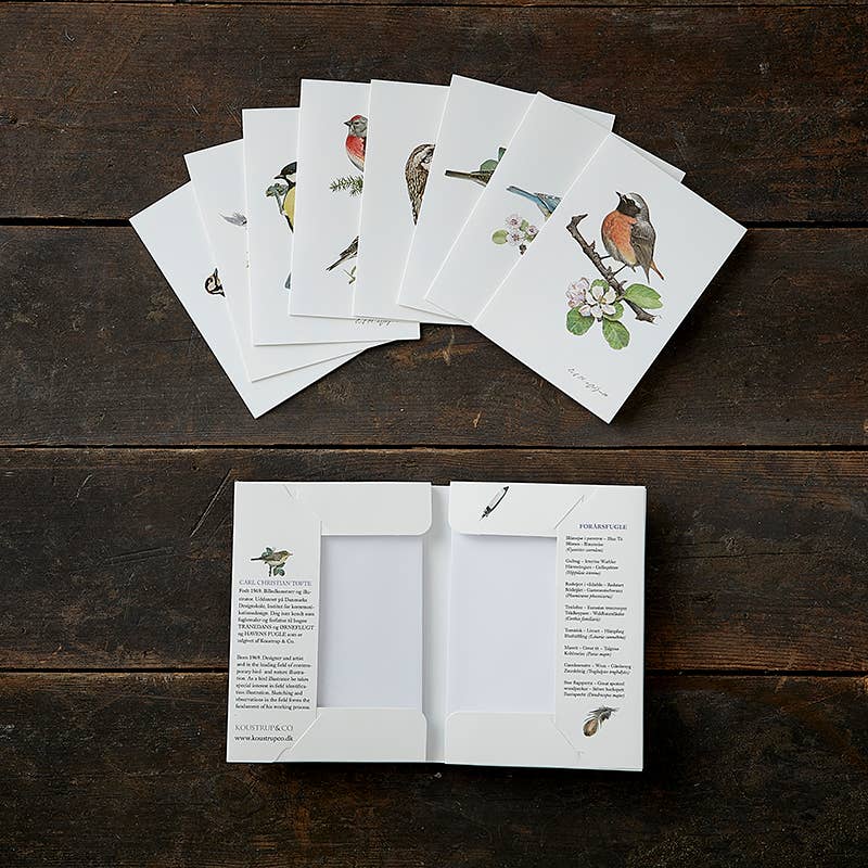 Koustrupco - Wholesale Postcard Set - Garden birds spring cardfolder- made in Europe2
