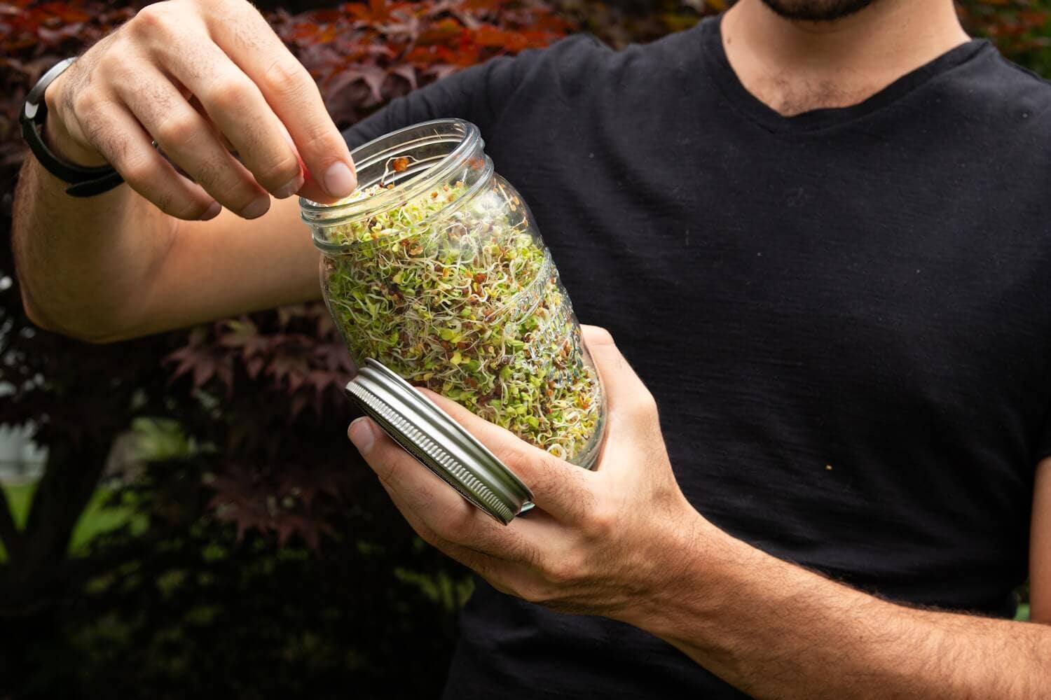 Sproutman - Wholesale Plant Seeds - Single Jar Sprouting Starter Kit2