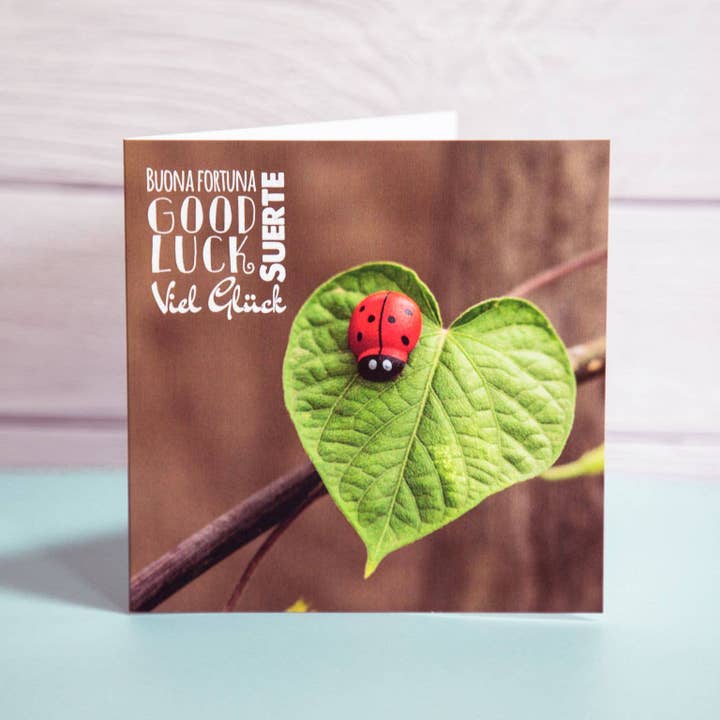 Viel Glück Karte „Viel Glück!“ - 5042 für den Großhandel von FairMail