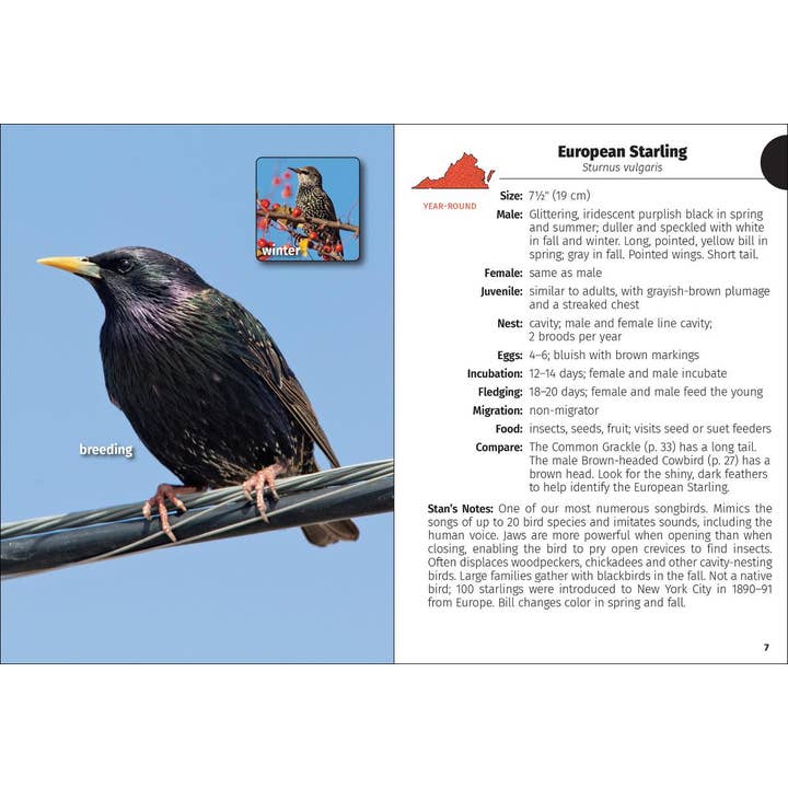 AdventureKEEN - Wholesale Nature Guide - Birds of Virginia Field Guide 2e
