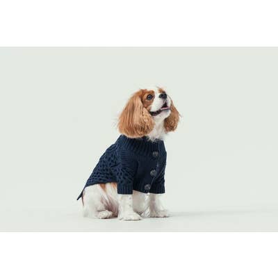 PEHOM - Wholesale Hondentrui - Hond - Vest met kraag voor huisdieren5