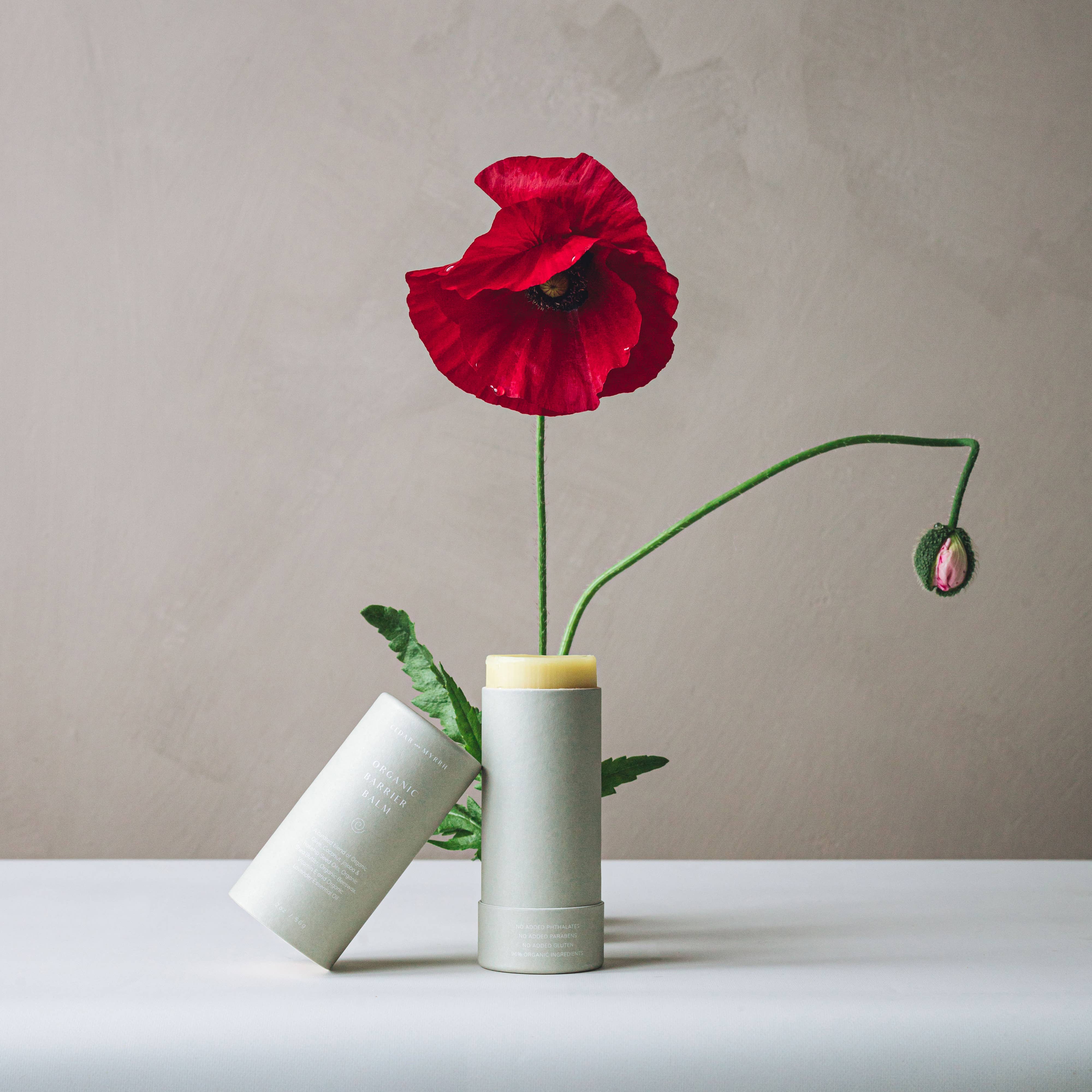 Cedar and Myrrh - Vendita all'ingrosso Balsamo/burro per il corpo - Balsamo Barriera Biologico1