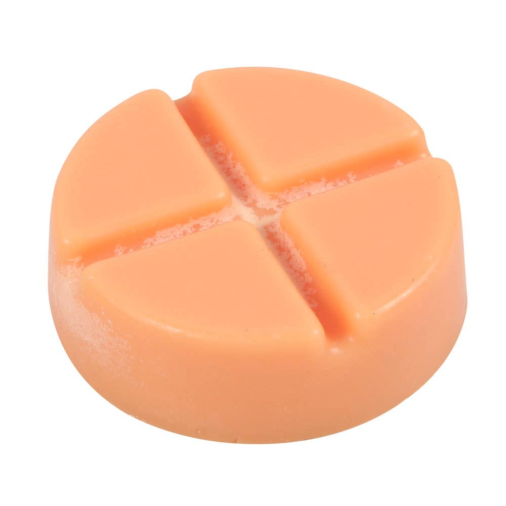 Something Different Wholesale – wholesale Wax melt – Spiced Pumpkin Soy Wax Melt Snap Disc2