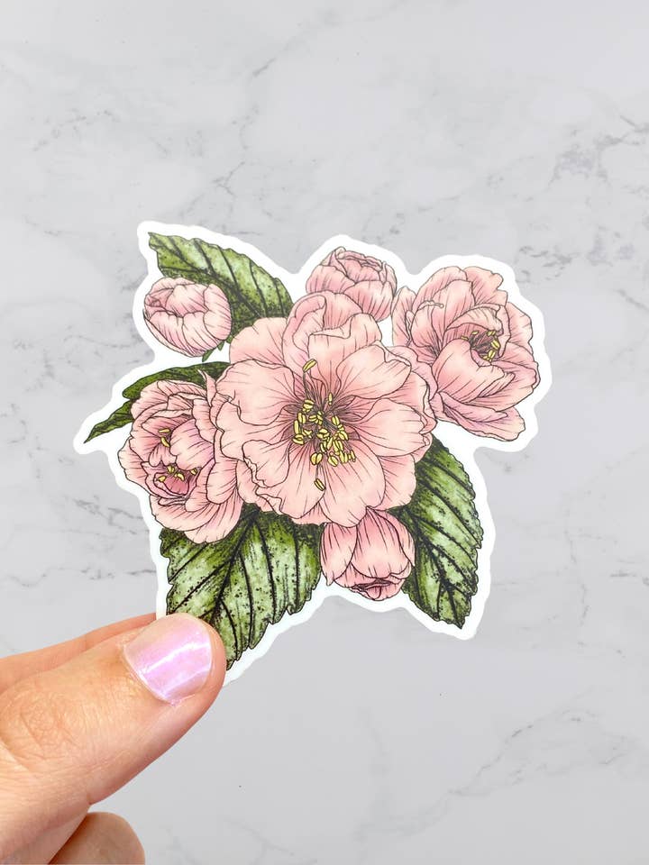 Autocollant fleur de pommier, vinyle imperméable pour la vente par Karen B Creations