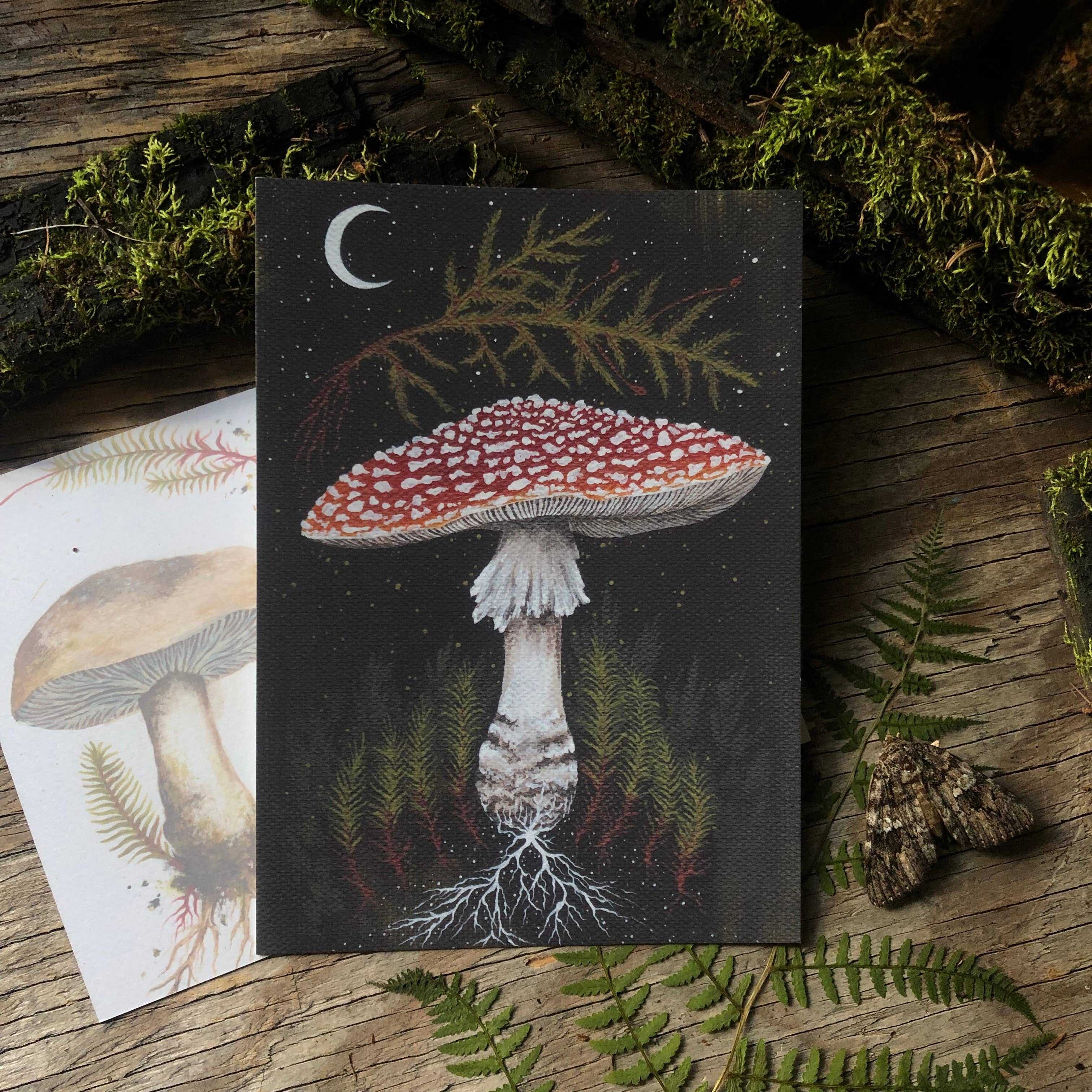 Up Moss Creek Studio - Wholesale Postcard Set - Dark Mycology Postcard Set (6)8