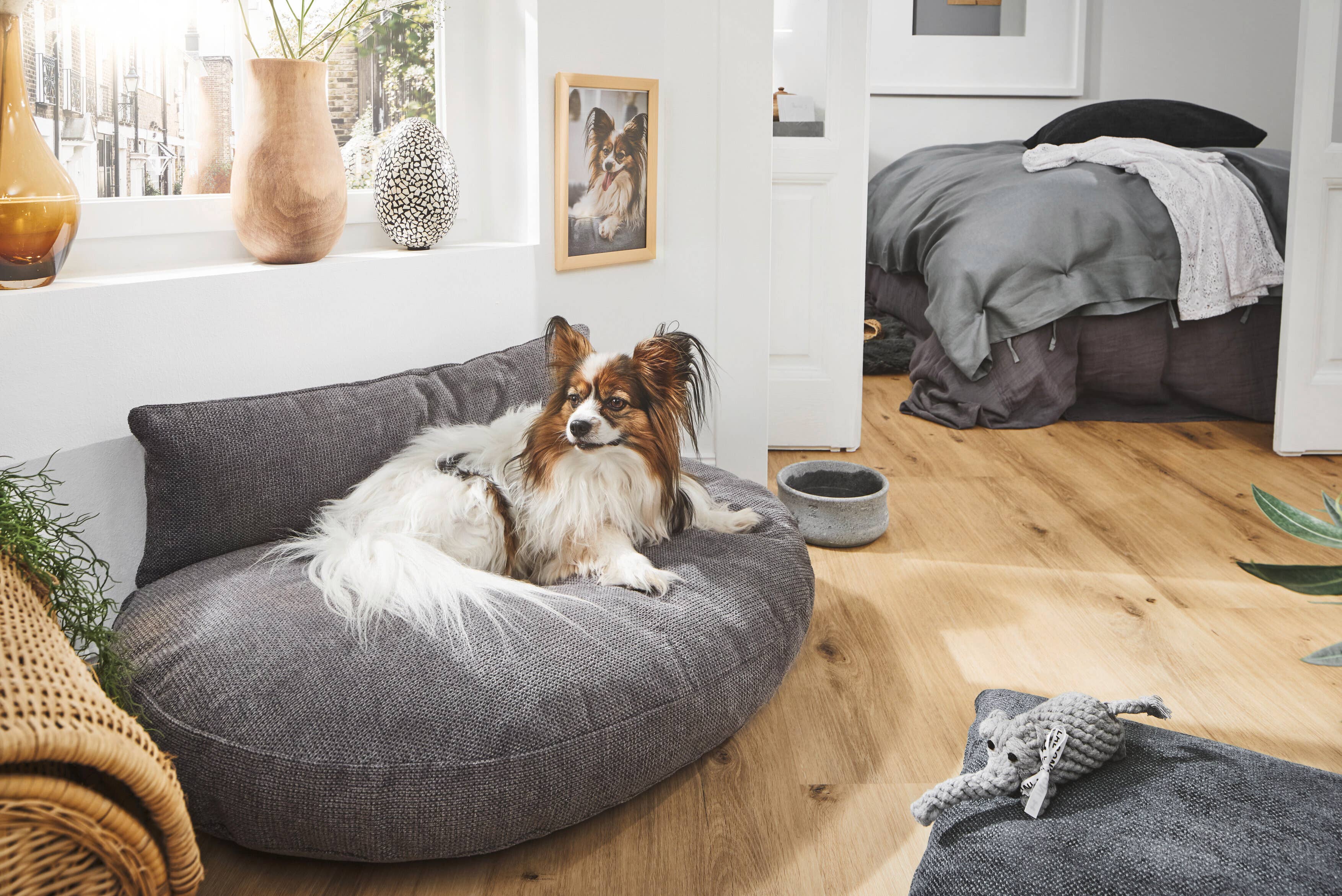 LABONI - Volentis GmbH - Wholesale Pet Bed - Cat/Dog - Luna Lounge TUDOR4