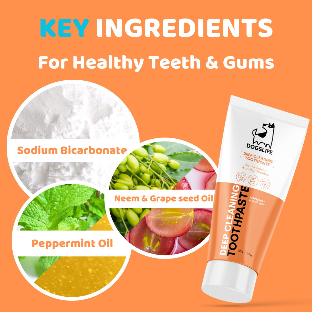 OurPetsLife – wholesale Pet toothpaste – Dog – Toothpaste for Dogs3