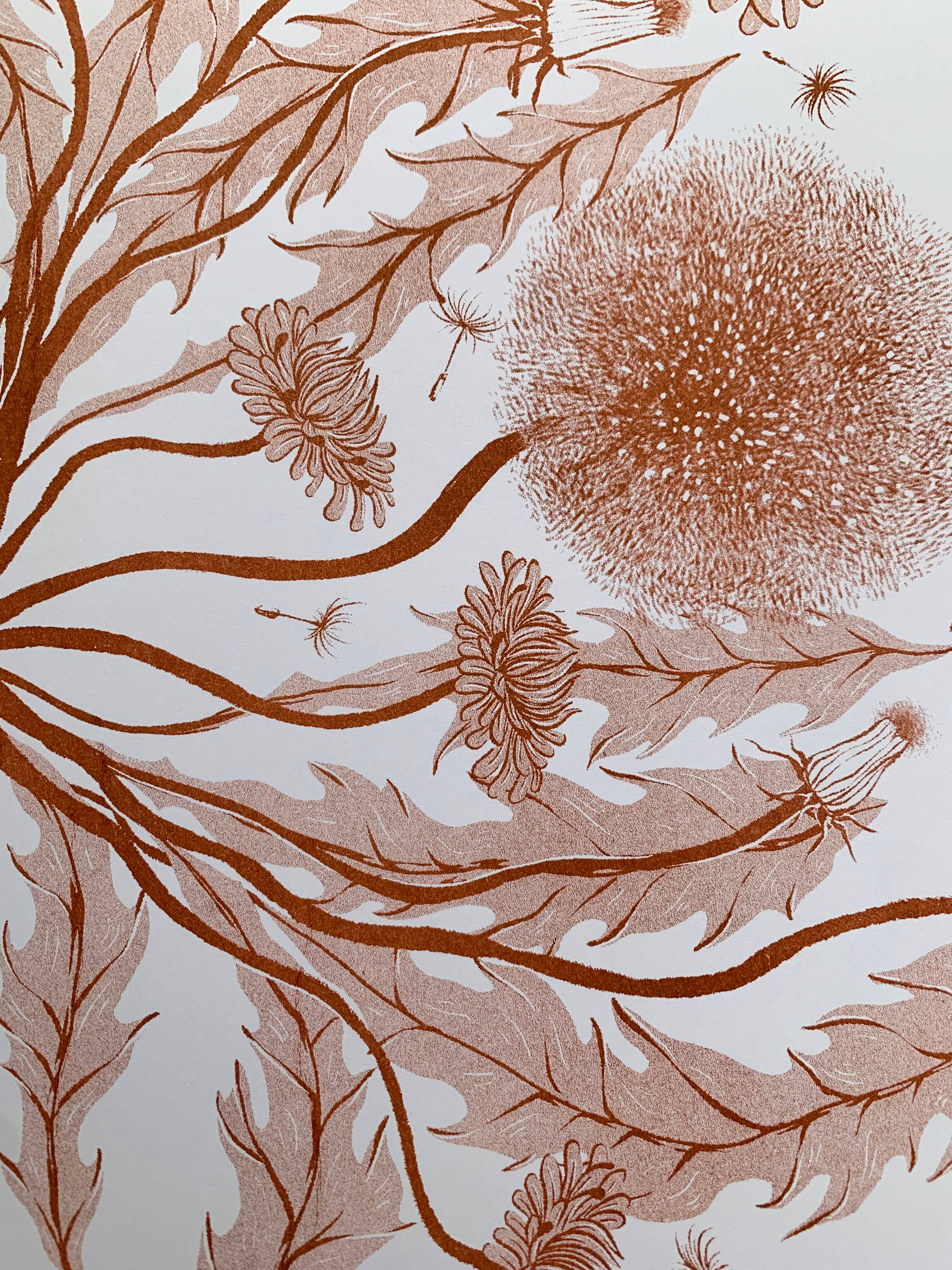 Big Fog - Wholesale Art Print - Dandelion Bloom Print1