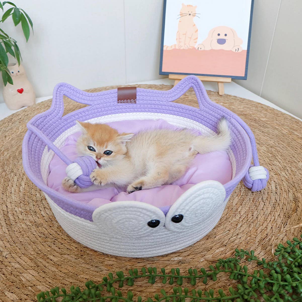 PAWPAWwholesale - Wholesale Pet Bed - Cat - Woven Cat House with Toy Ball for All Seasons_CWMM656120