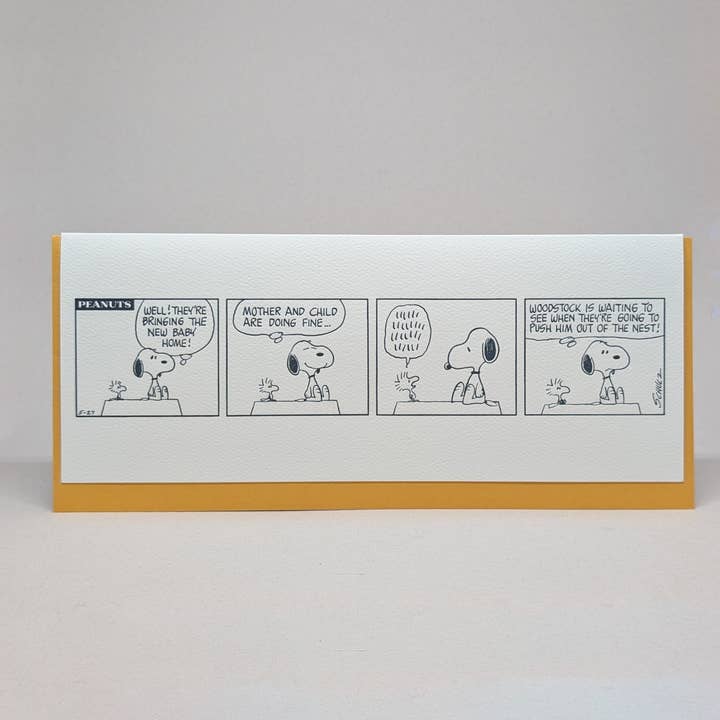 Bringing the New Baby Home - Peanuts for wholesale by Big Wheel Press