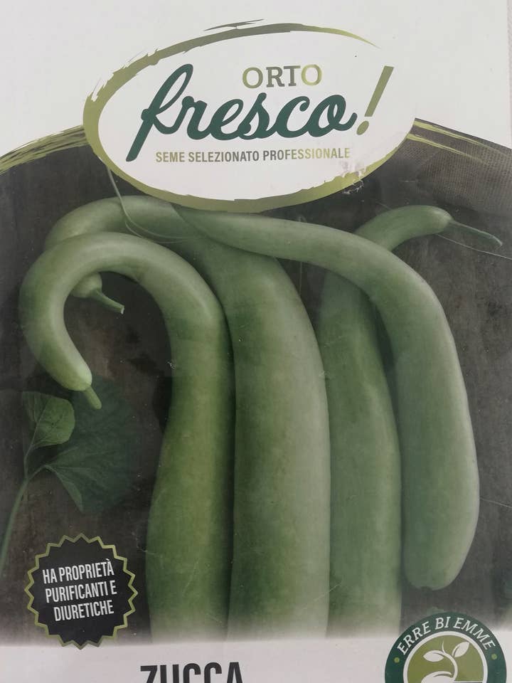 Long Serpent Squash of Sicily for wholesale by Sementi & Barbatelle