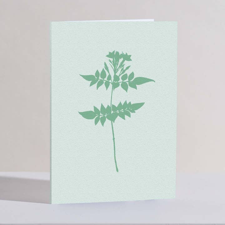 Jasmine greetings card for wholesale by Verity Burton