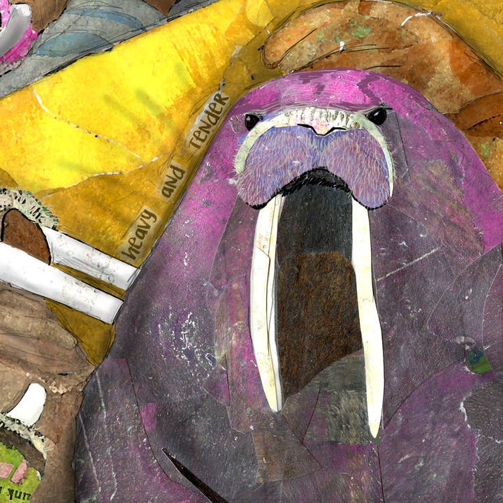 Found & Rewound - Wholesale Art Print - Walrus - print2