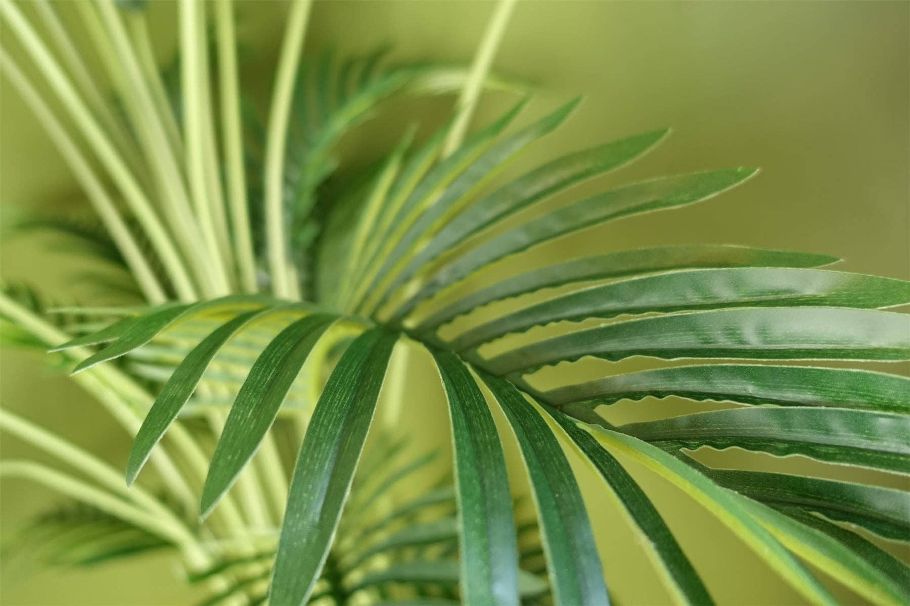 Leaf Design UK LTD – Planta artificial por atacado – Palmeira Areca Artificial de 150 cm em Vaso Preto Botanik4