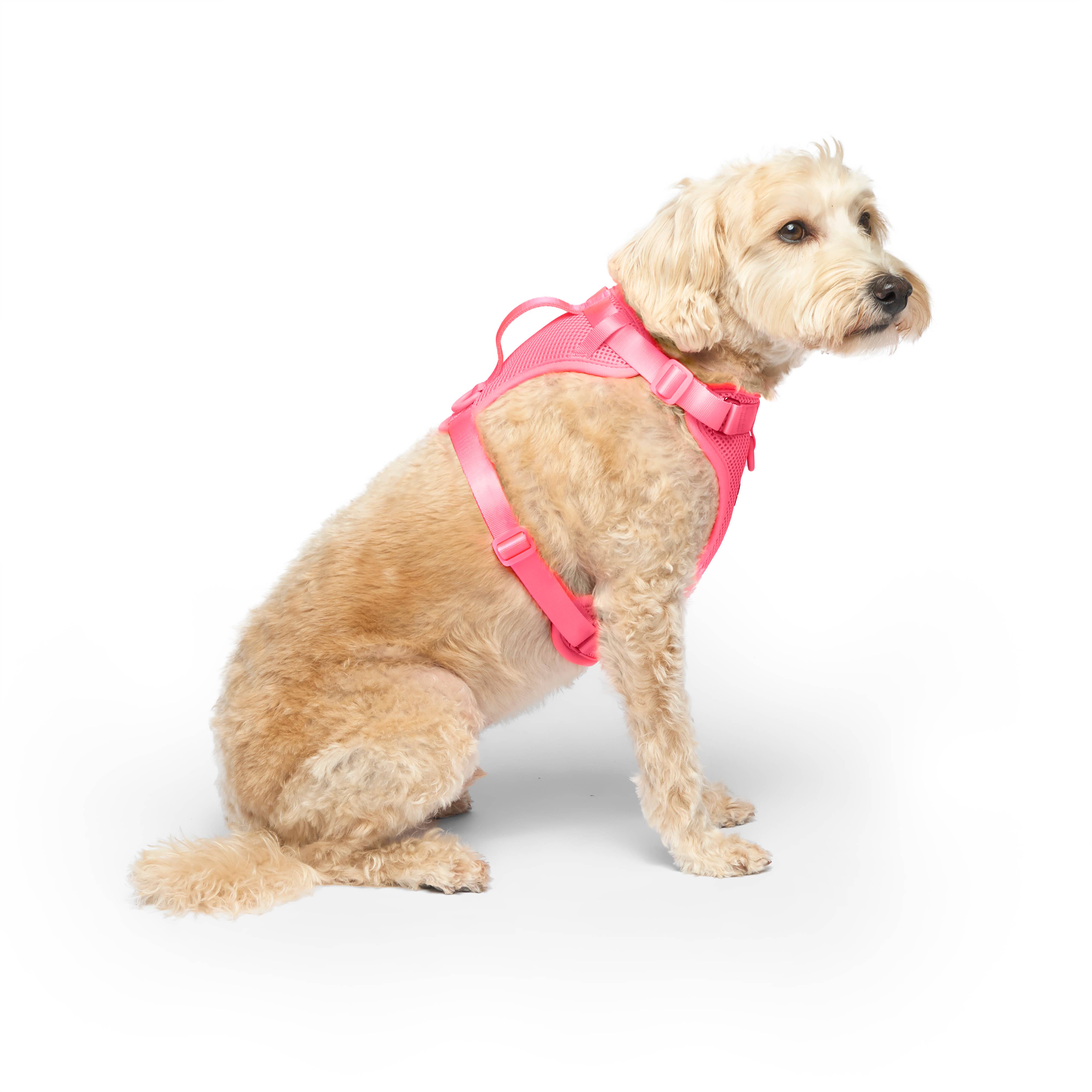 Canada Pooch - Wholesale Pet Harness - Dog - Everything Harness- No-Pull Dog Harness (Mesh)13