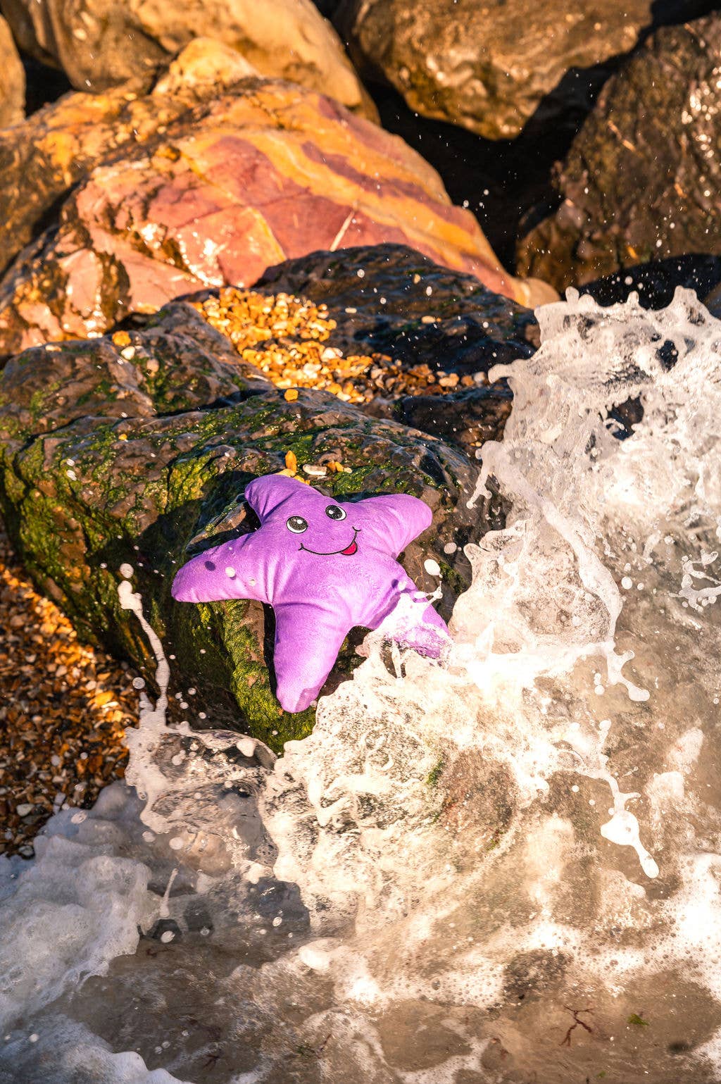 Sustainapaws – wholesale Pet plush toy – Dog – Starfish Double Layered Recycled Plastic Plush Dog Toy8