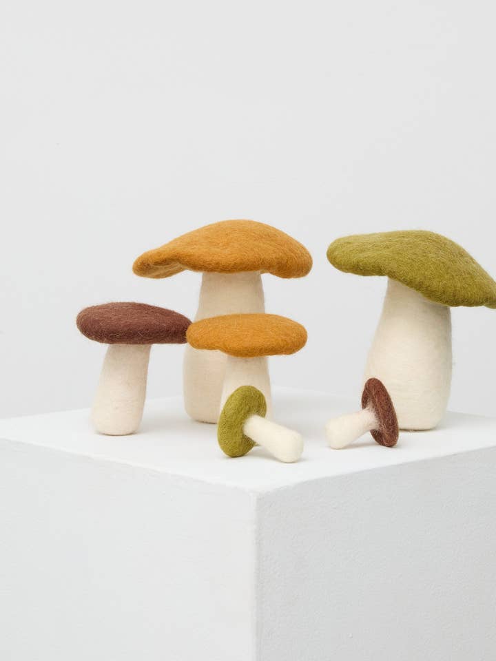 Crate of Mushrooms - Brown for wholesale by Philé