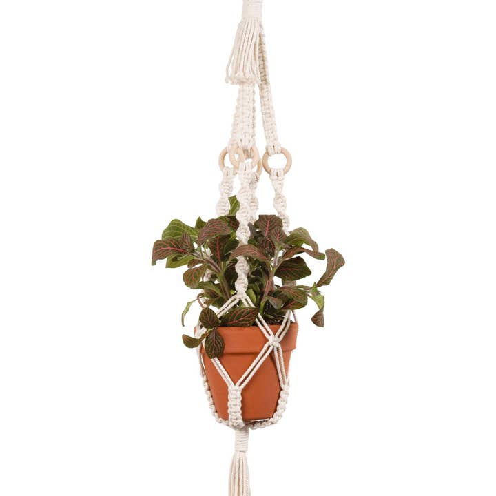 Make-ramé™ Pflanzenhänger-Bastelset – Ringe für den Großhandel von Solid Oak