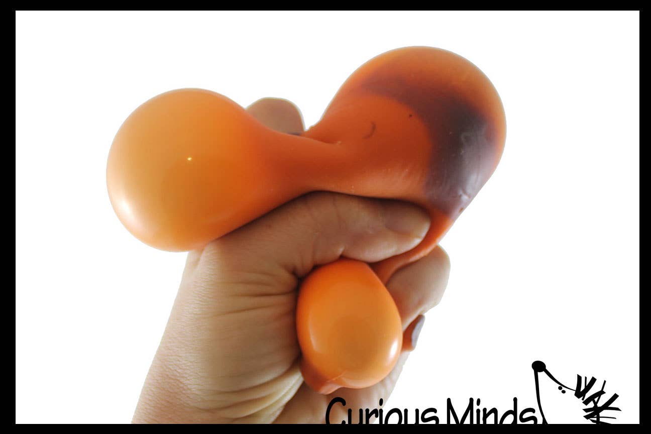 Curious Minds Toys - Wholesale Squishy Toy - Kids & Baby - 1 Capybara Squishy Squeeze Stress Ball Soft Doh Filling - L7