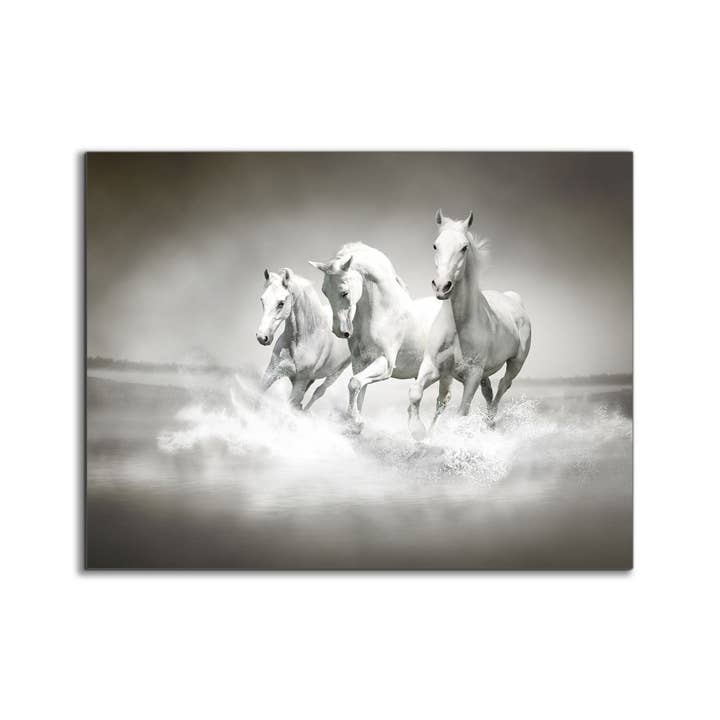 Wall Art Black and White Stallions - Animal Print Canvas for wholesale by GTA ART