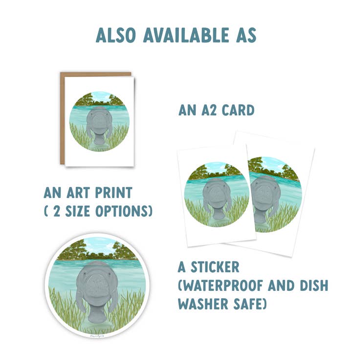 25 Sweetpeas - Wholesale Sticker - Manatee Sticker, Wildlife Sticker, Manatee in the Springs3