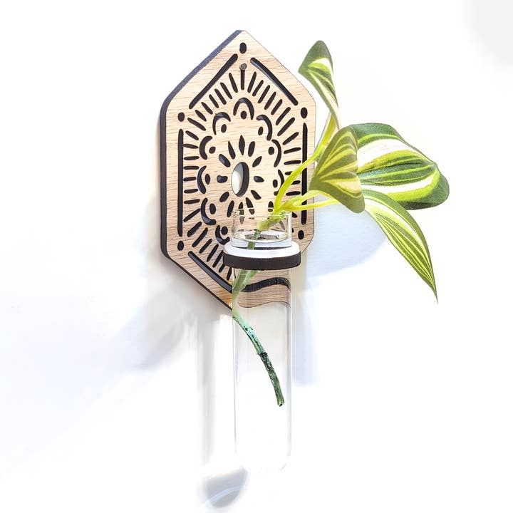 Propagation Station | Flower for wholesale by A Dash of Kinship