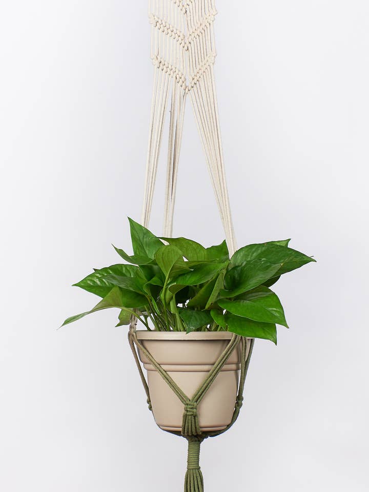 48" Plant Hammock - Olive for wholesale by Primitive Planters