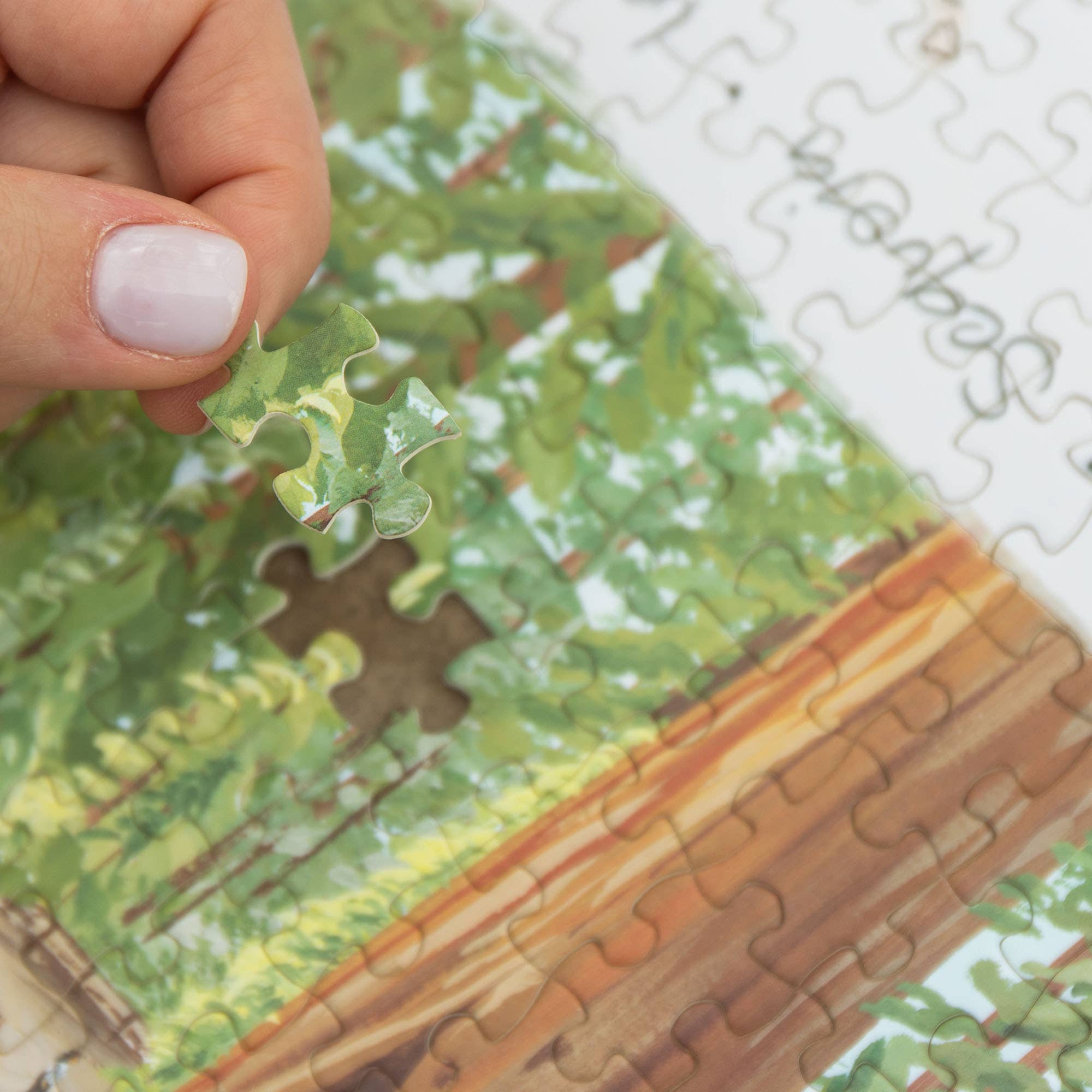 1canoe2 | One Canoe Two Paper Co. - Wholesale Puzzle - Adult - National Parks - 1,000 Piece Jigsaw Puzzle5