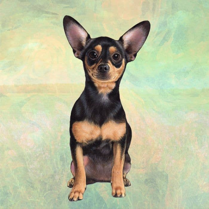 Chihuahua Dessous de verre carré noir pour la vente par E&S Pets