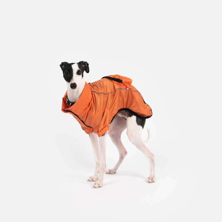 Silver Paw - Wholesale Pet Raincoat - Dog - EVA Packable Raincoat