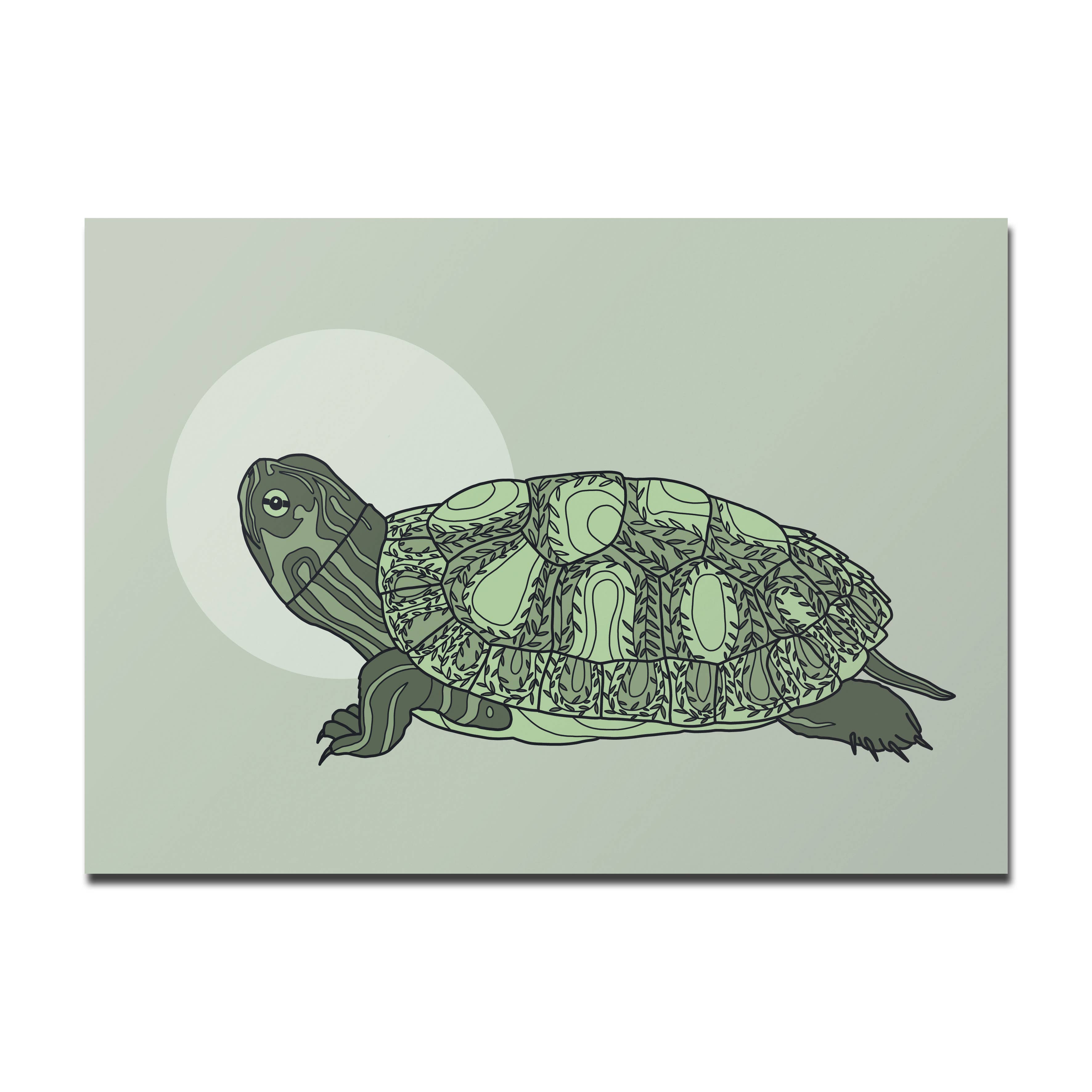 Rotberta - Wholesale Ansichtkaart - Postkaart schildpad0