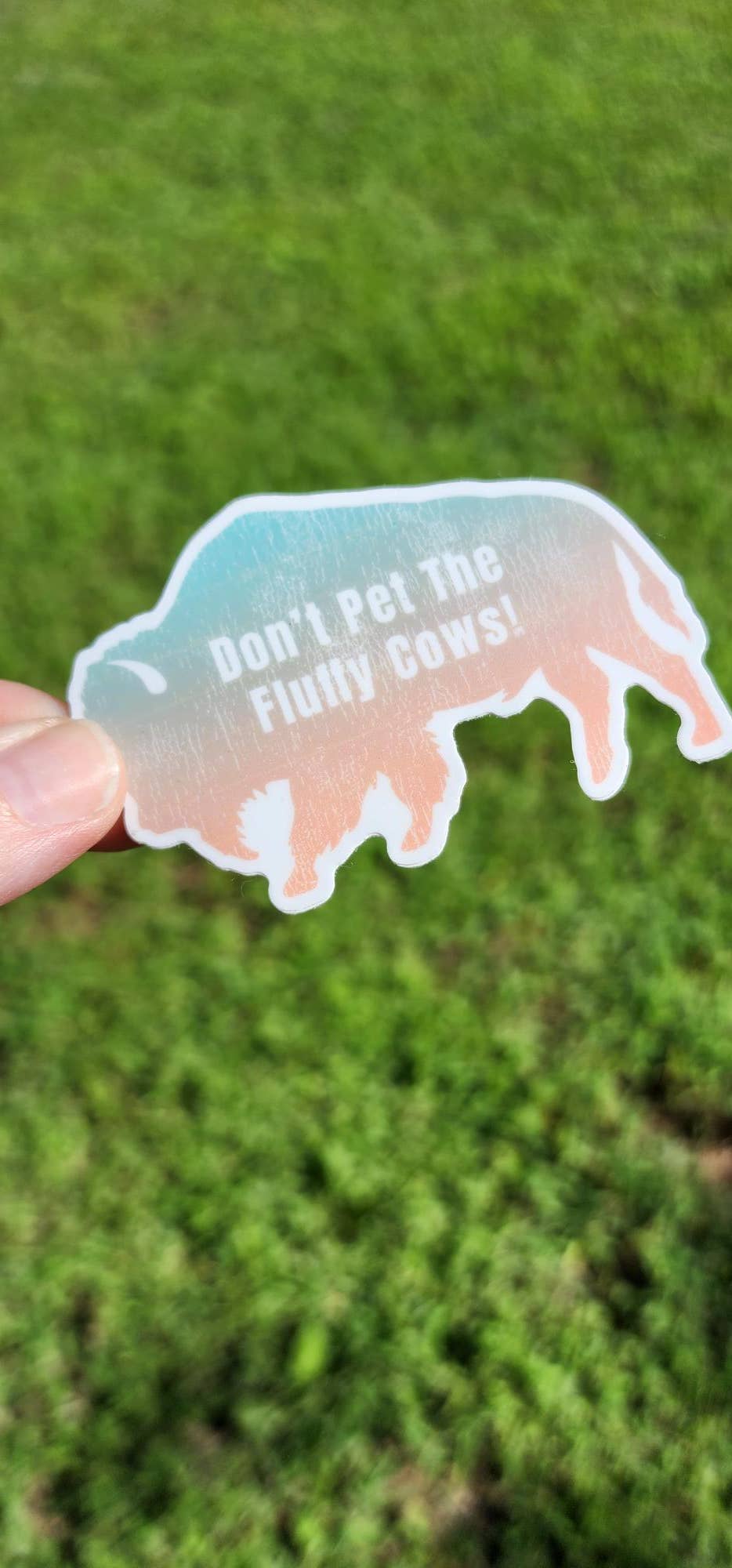 National Parks and Beyond - Wholesale Sticker - Don't Pet The Fluffy Cows Bison Ombre Vinyl Sticker2