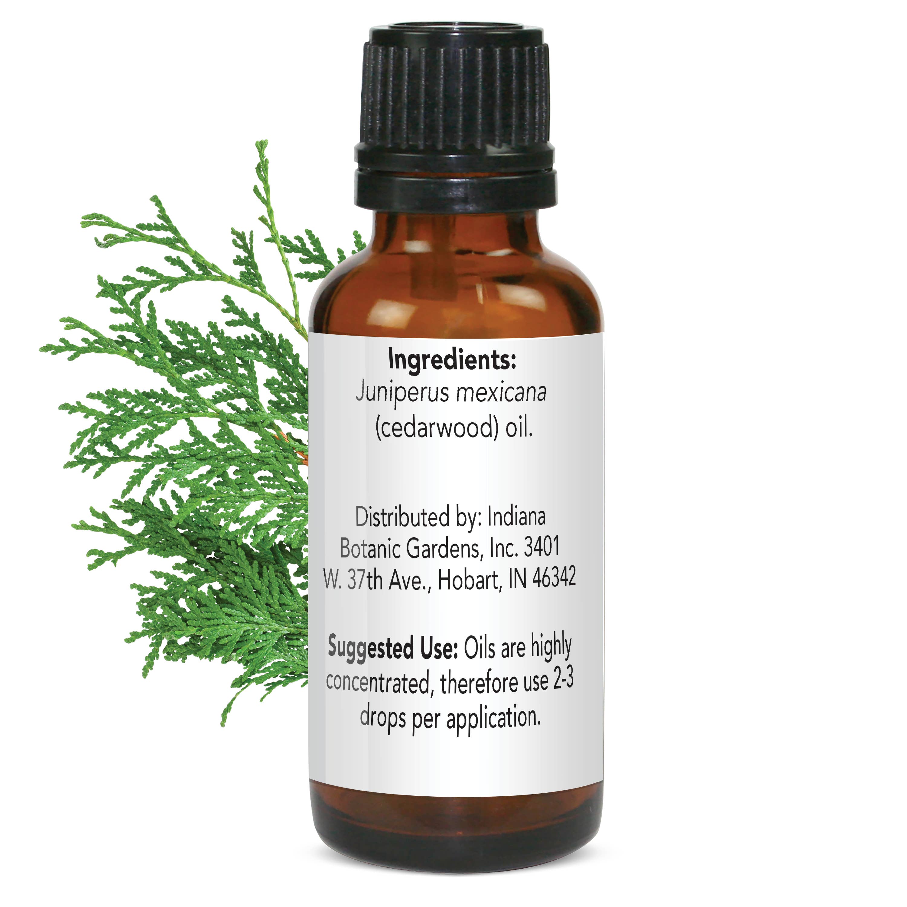 Botanic Choice - Wholesale Essential Oil - Botanic Spa Cedarwood Essential Oil - 1 oz1
